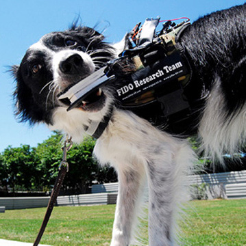 Illustration for article titled Know What Your Dog Really Wants With This Pooch-to-People Translator